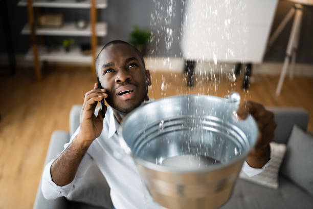 Best Water damage restoration insurance claims  in USA